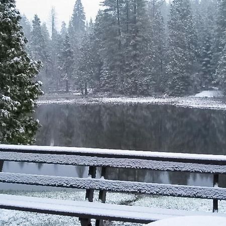 Water'S Edge Retreat Villa Shaver Lake Exteriör bild
