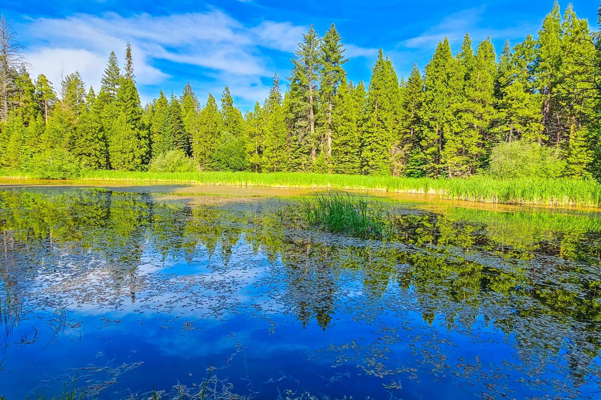 Water'S Edge Retreat Villa Shaver Lake Exteriör bild