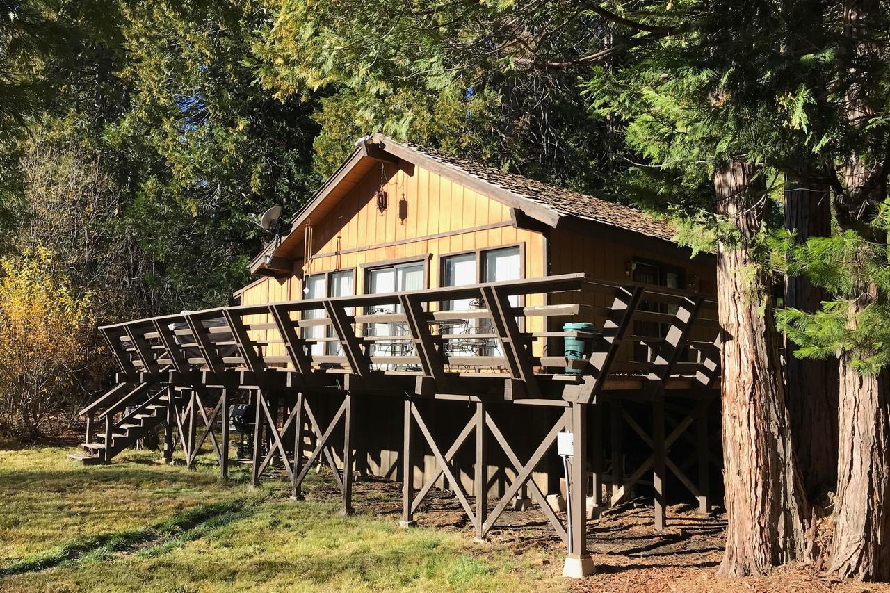 Water'S Edge Retreat Villa Shaver Lake Exteriör bild
