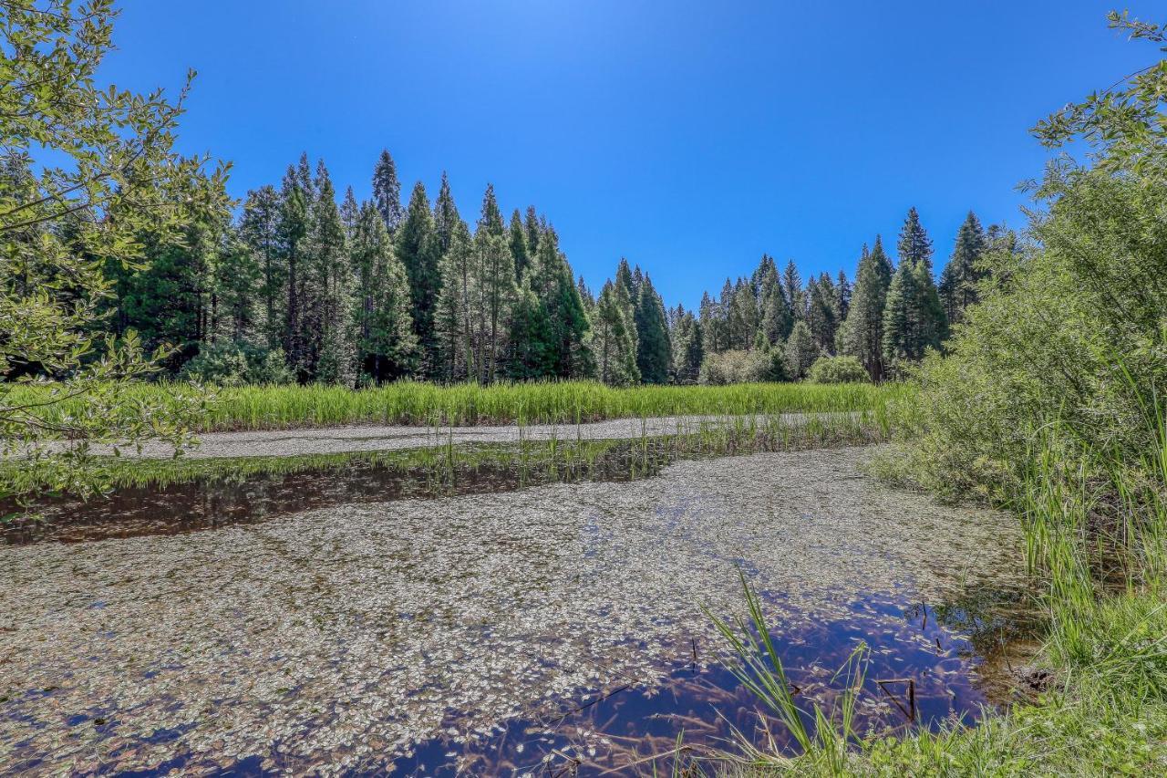 Water'S Edge Retreat Villa Shaver Lake Exteriör bild